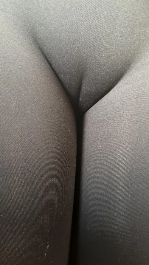 Anyone near Montevideo? Looking for a male or female