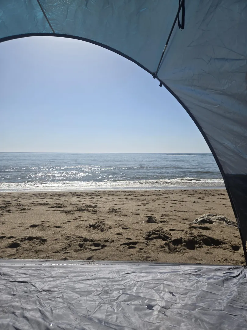 It's a beautiful day at the cove