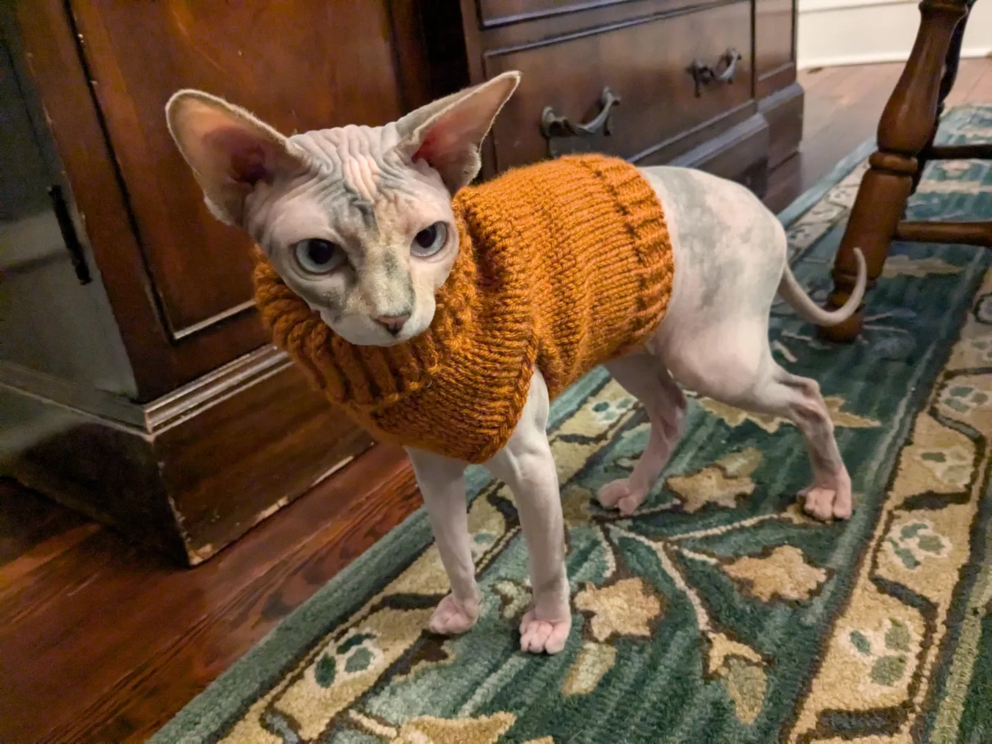 Marlena Monday - Sweater edition