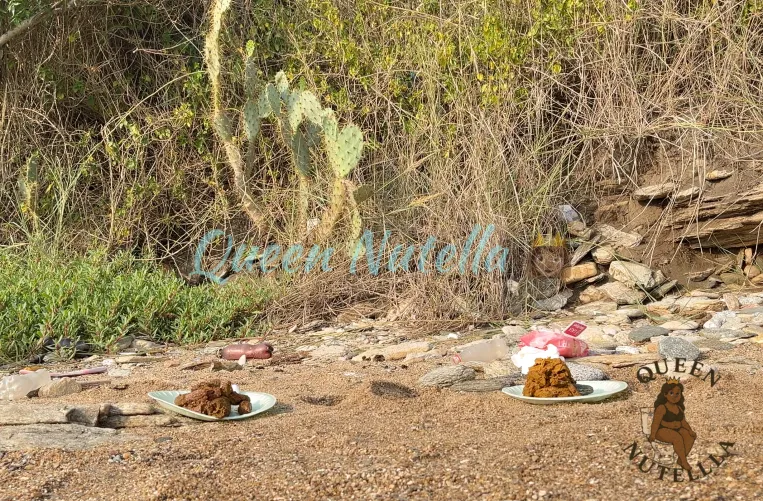 Massive plates of poop from my friend & I