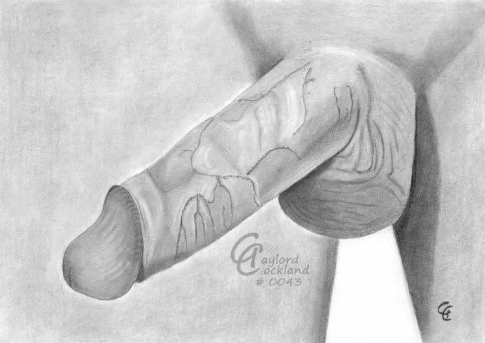 (#43) erect cock with open glans, drawn by me