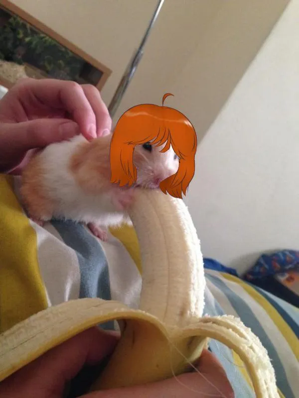 Do you see banana man?