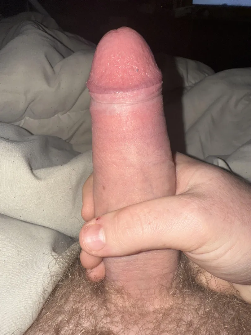 Does it deserve pussy