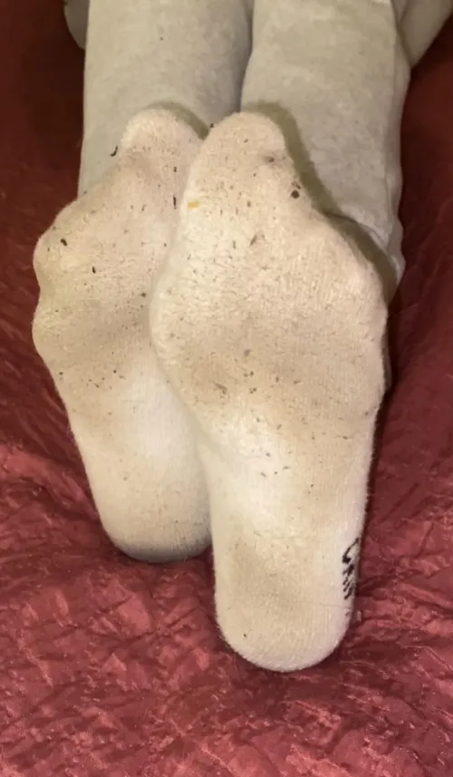 [F] Monday smelly socks