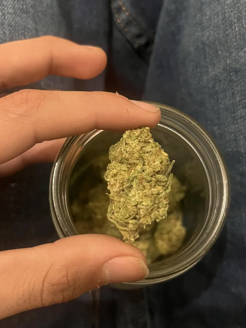 Jk distro-OZ kush back