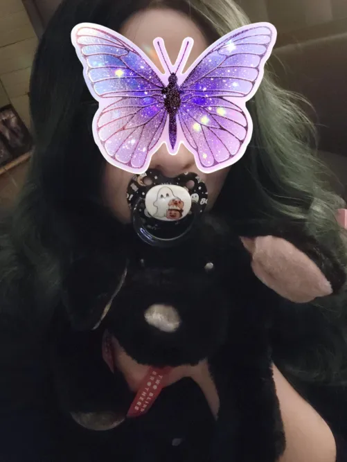 Puppy wants to say hi 