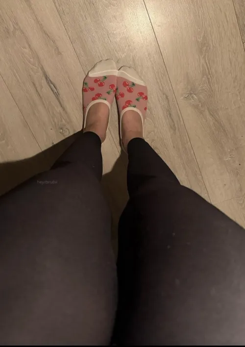 smelly vans socks [f]
