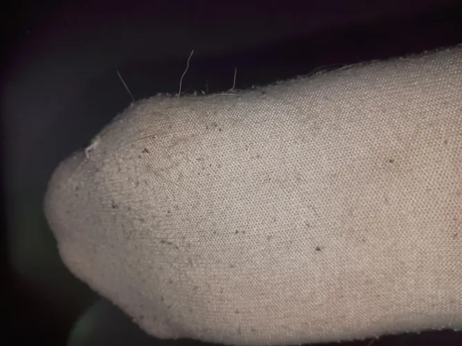 Who would like to taste my dirty and sweaty socks? [F]