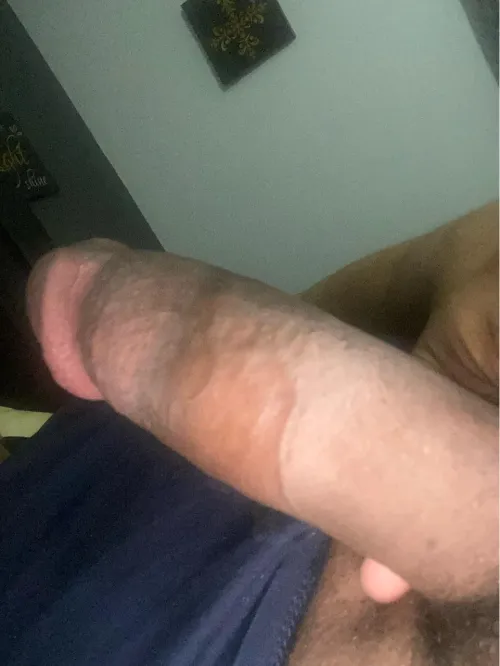33 bbc bull downriver any couples looking ?