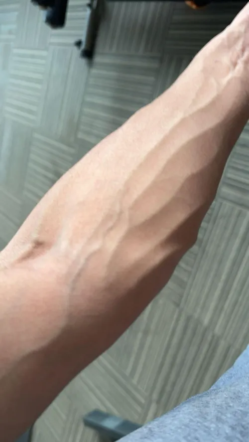 Anyone wants to milk?