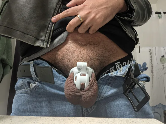 Baby cobra is surprisingly comfortable