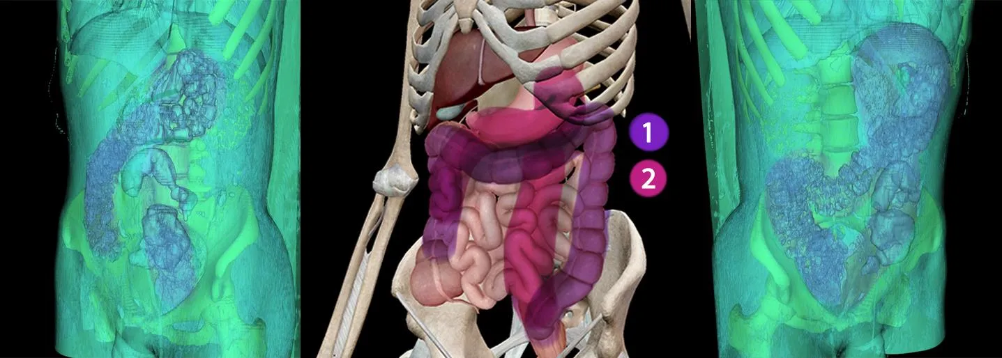 I cracked the code! How to take large depth toys.