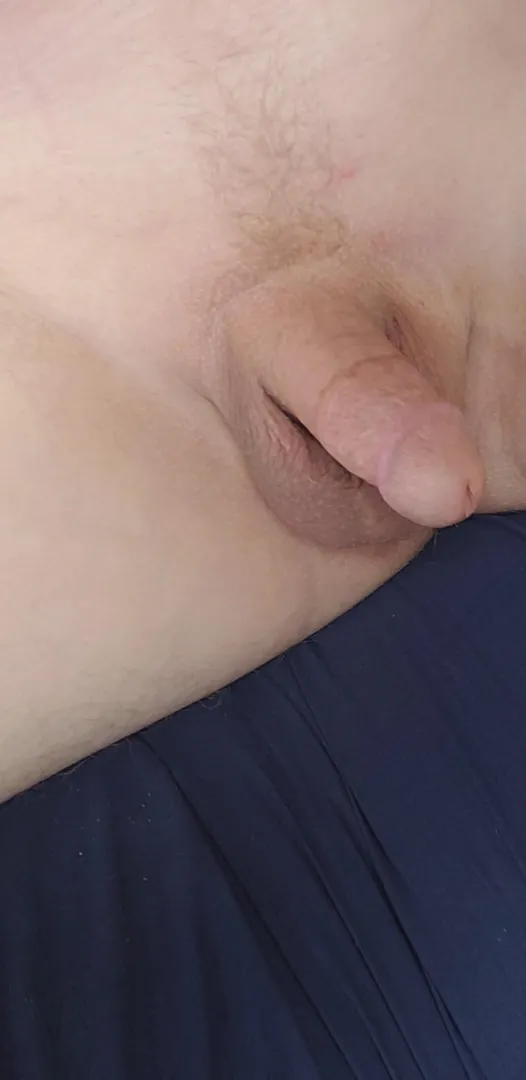 Just a trimmed cut cock