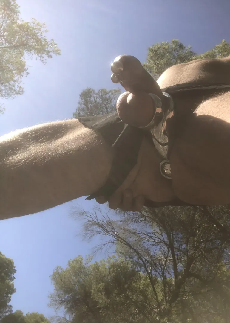 Last summer, on a walk through the forest.