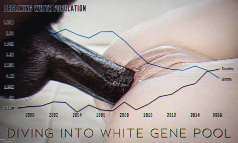 need someone to genuinely brainwash me with bnwo and data like this 