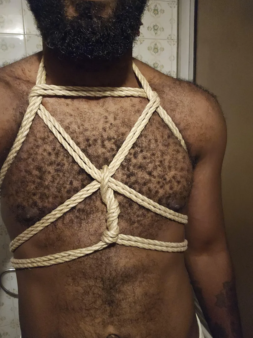 Shibari rigger
