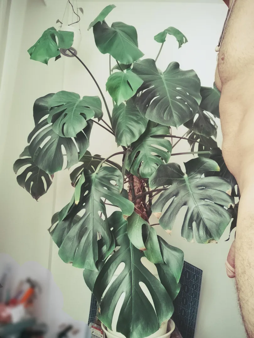 this is how we say hi to each other every morning 