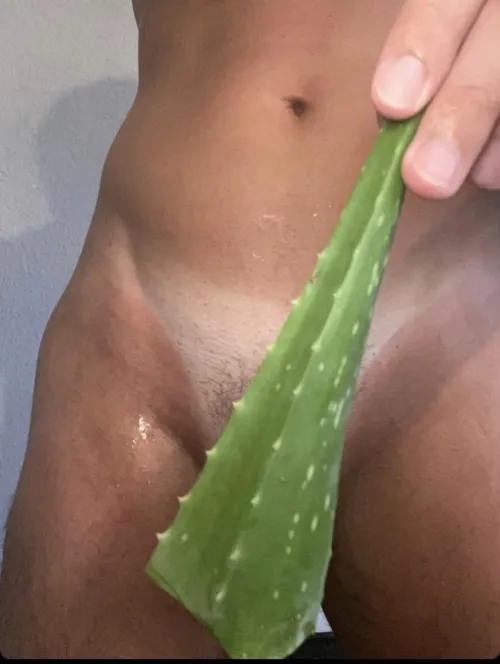 Aftermath of my cheekiest speedo.