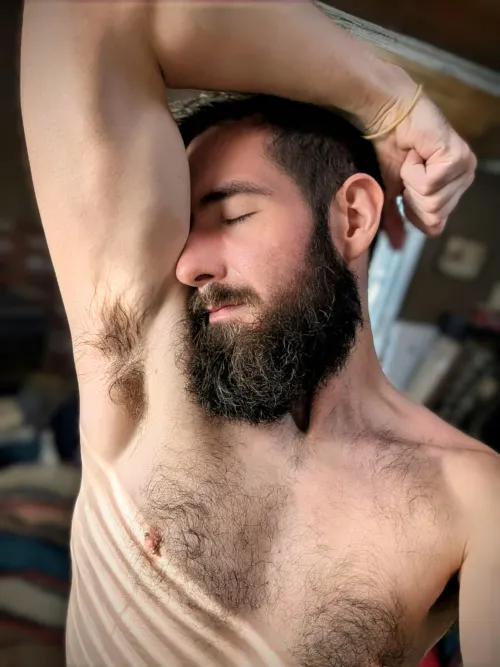 Dripping  in the morning sun