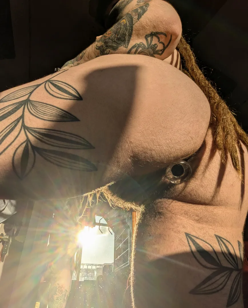 I love how my bush looks in the sun