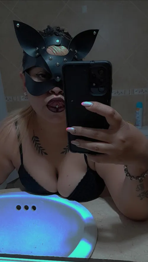 La gatita quiere leche [f]