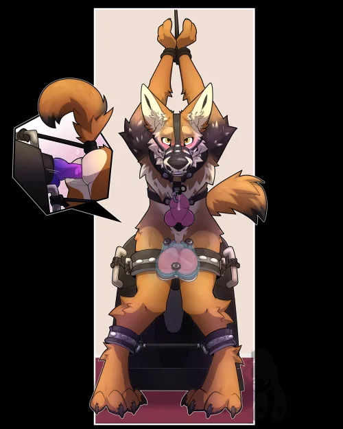 Tied to the ride (yiffy1234)