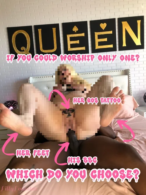 Which do you choose?