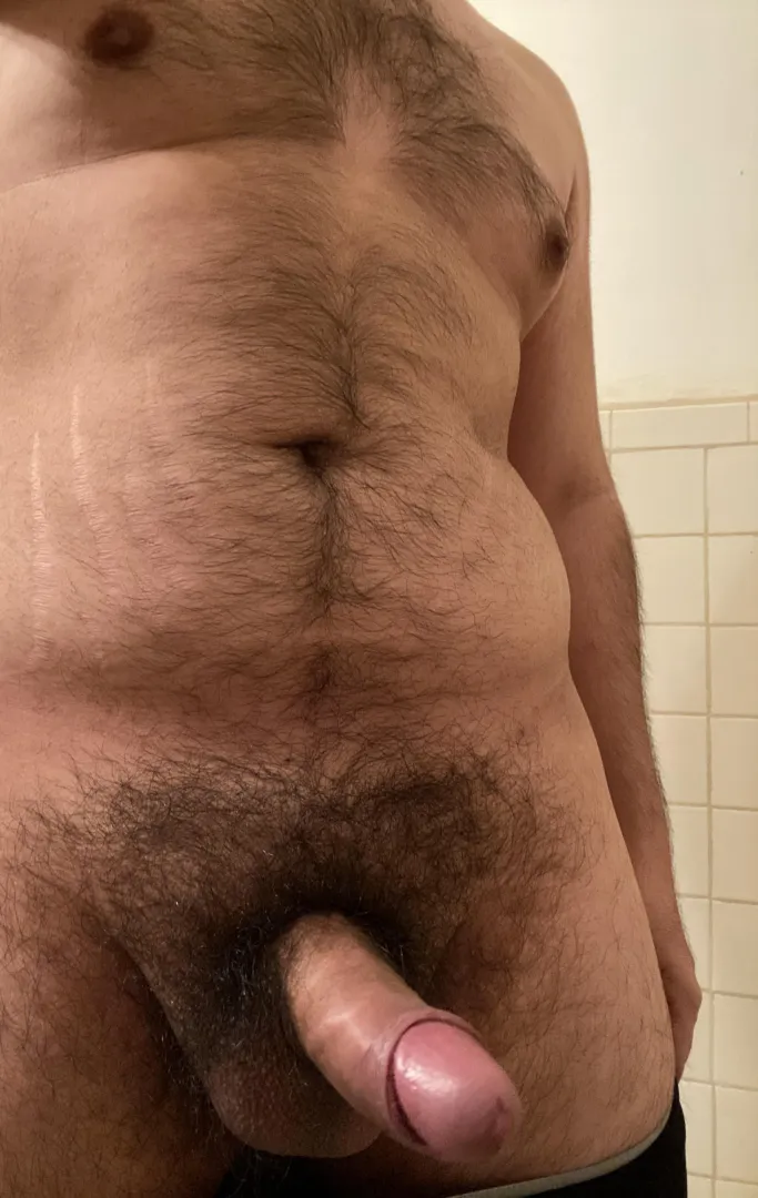 [28] Top looking to breed . Hosting southeast area