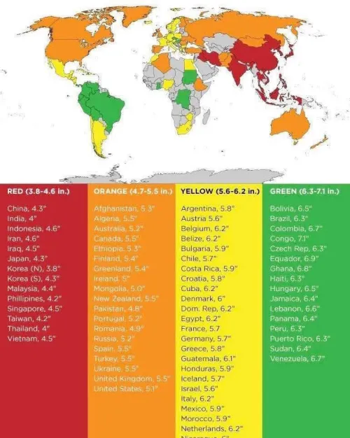 An infographic on average dick size per country...I especially like the colour coding - red for no and green for go?