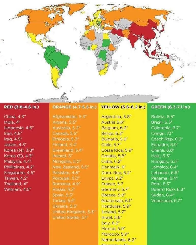 An infographic on average dick size per country...I especially like the colour coding - red for no and green for go?