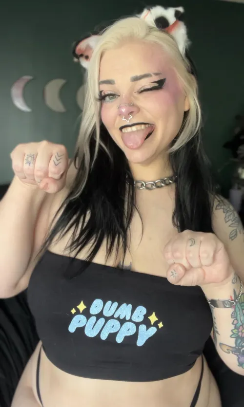 dumb lil puppy needs some strict training