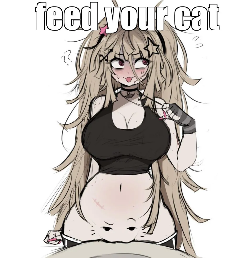 feed your cat