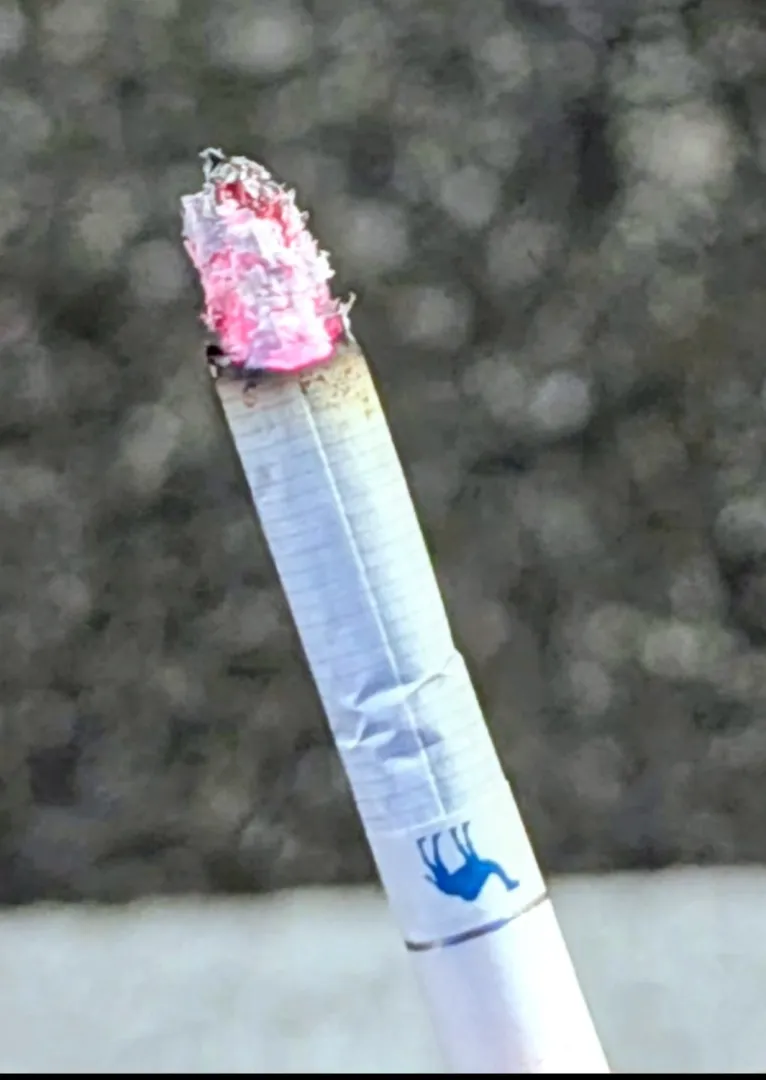 finally got Camel crush