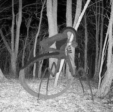 Kokrunn (by me) [If]