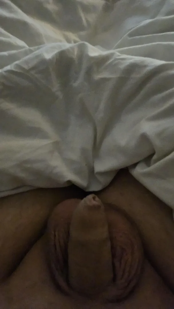 My small flacid dick