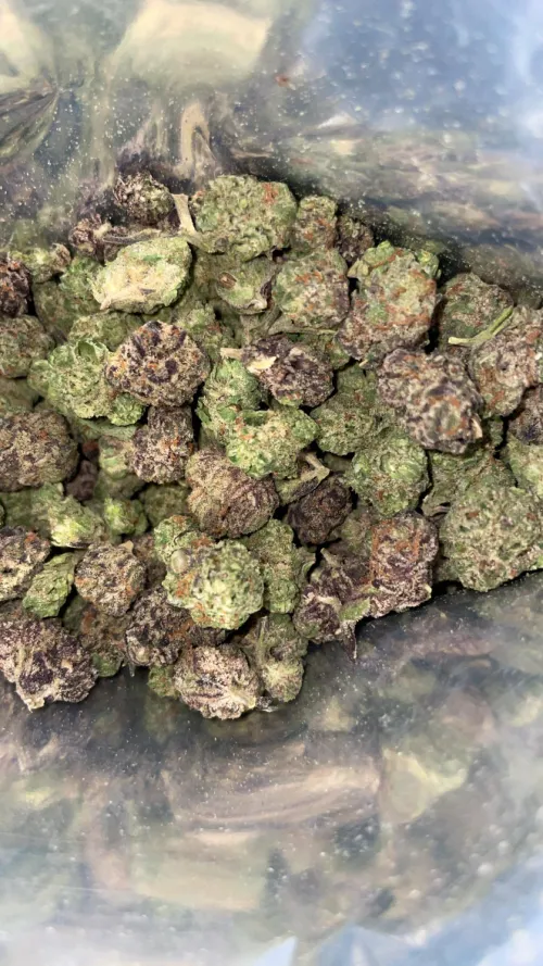 TSB- high society smalls