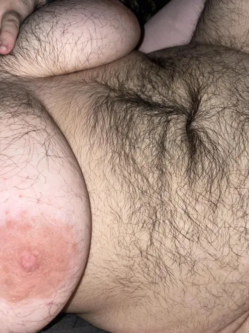 Up close with a transbear