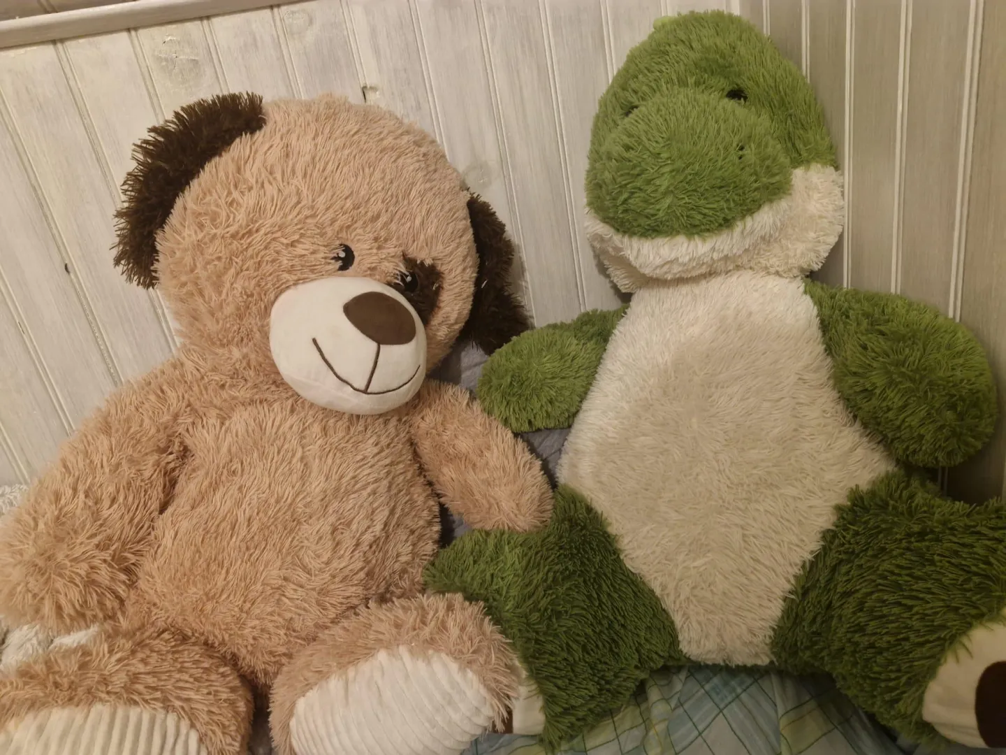 With which of the two I have sex?