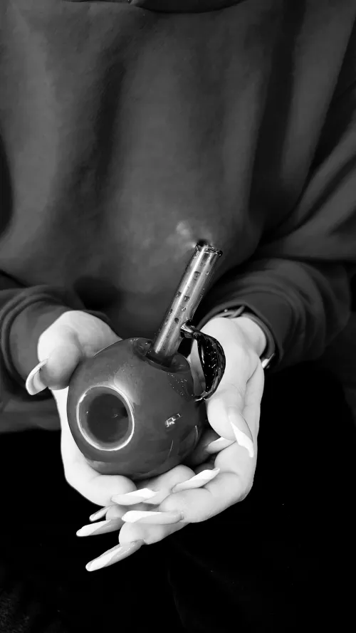 an apple a day keeps the doctor away