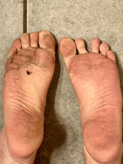 Anyone else like to walk around a vaca rental to see how dirty their feet can get? Ugh I love how dirty they get from past guests. 