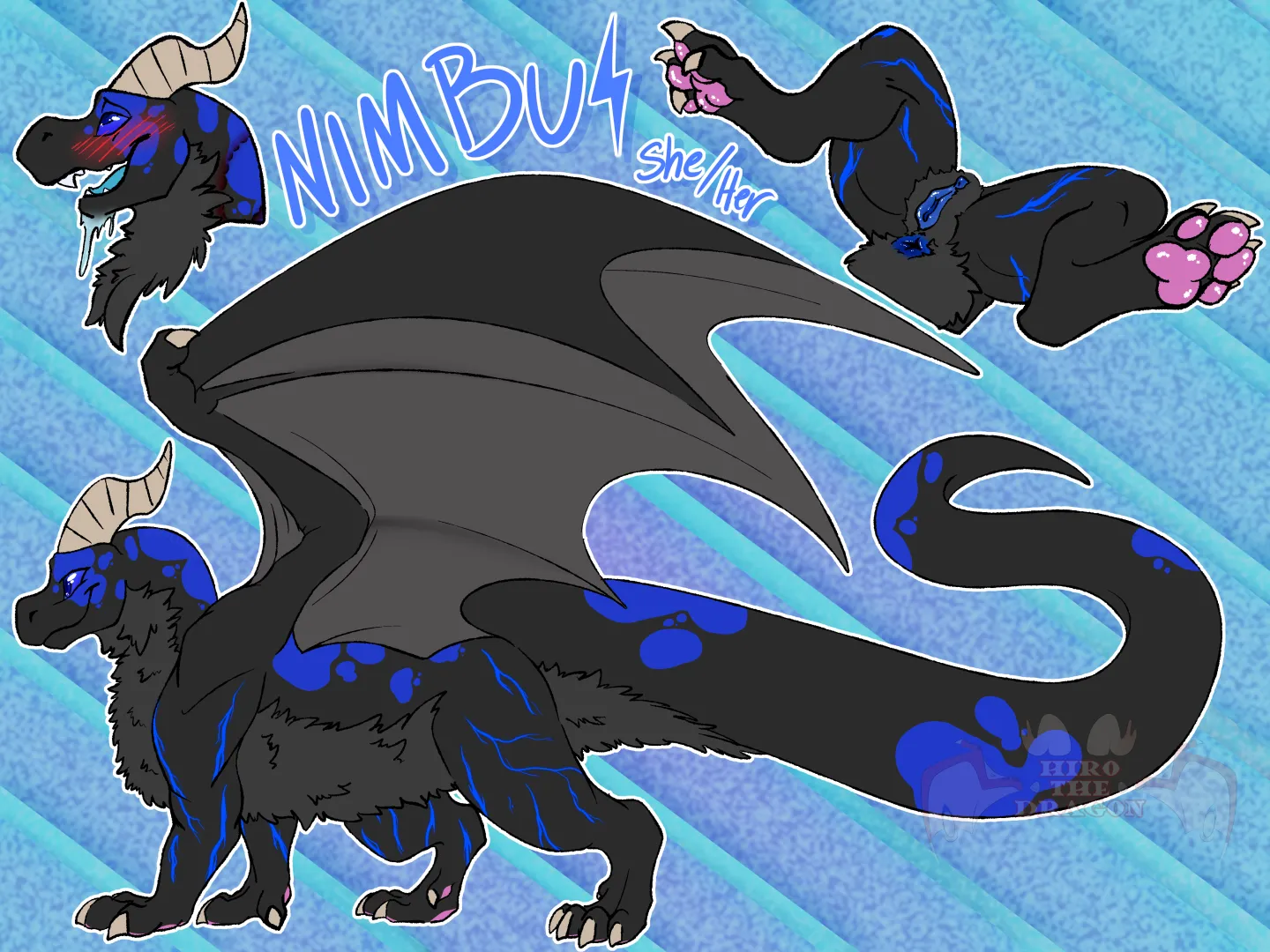 Have my gal nimbus a princess