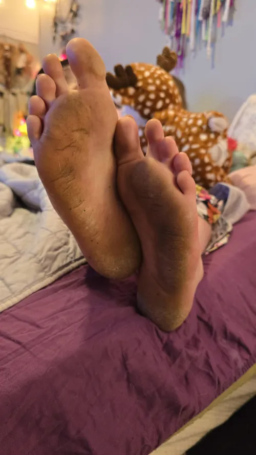 I want to put you to work today 