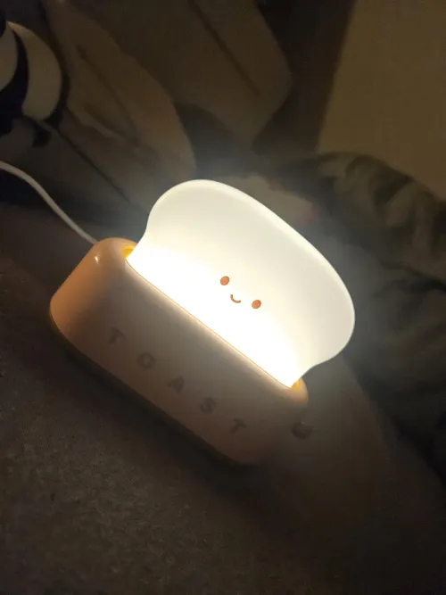 My last new nightlight arrived 