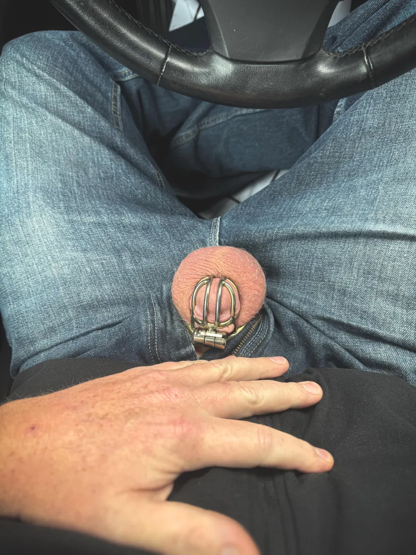 On my lunch break sending my wife a quick cage check.