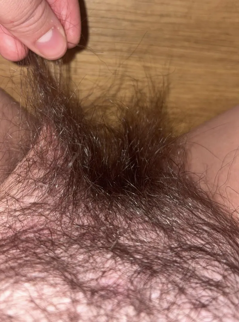 Pull on my bush as i suck your dick?