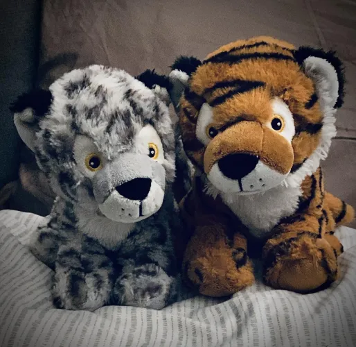 Rajah & Tigrou 