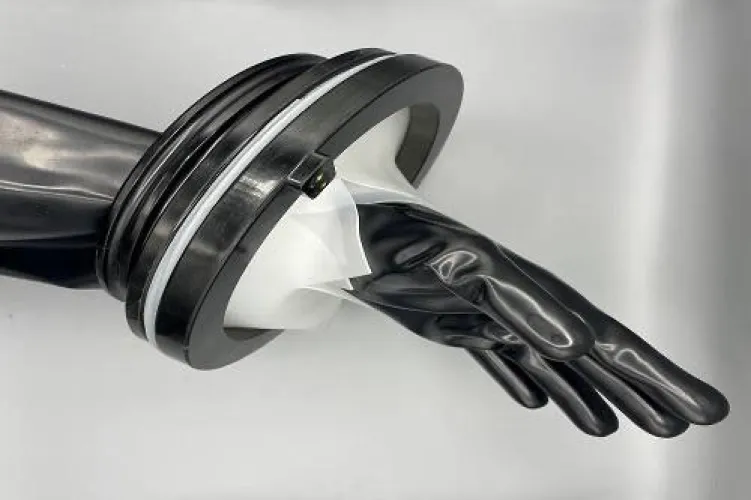 Which Baywatch girl would you want to use this on you?