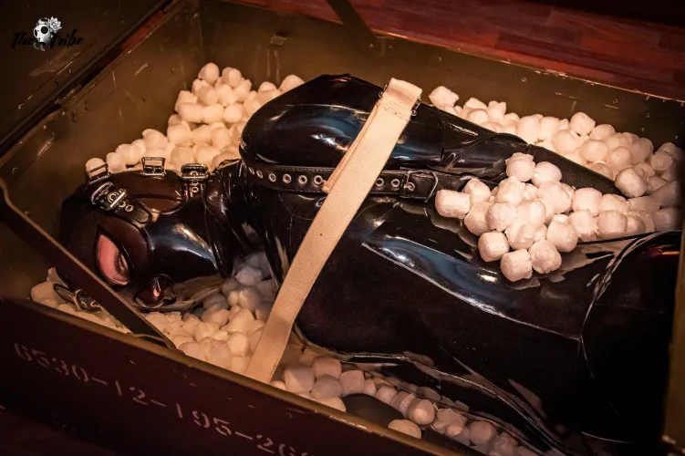 With few gigs out there, you had no choice but to go for a fetish photoshoot involving latex, some bondage gear, light feminization, and chastity. There was little you could do once you were immobilised in the crate, as your manager was counting his paym