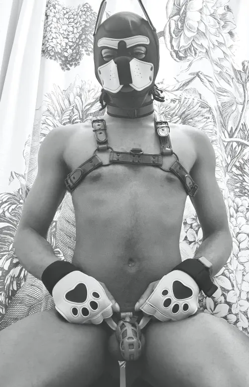 (30M) On display for my superiors 