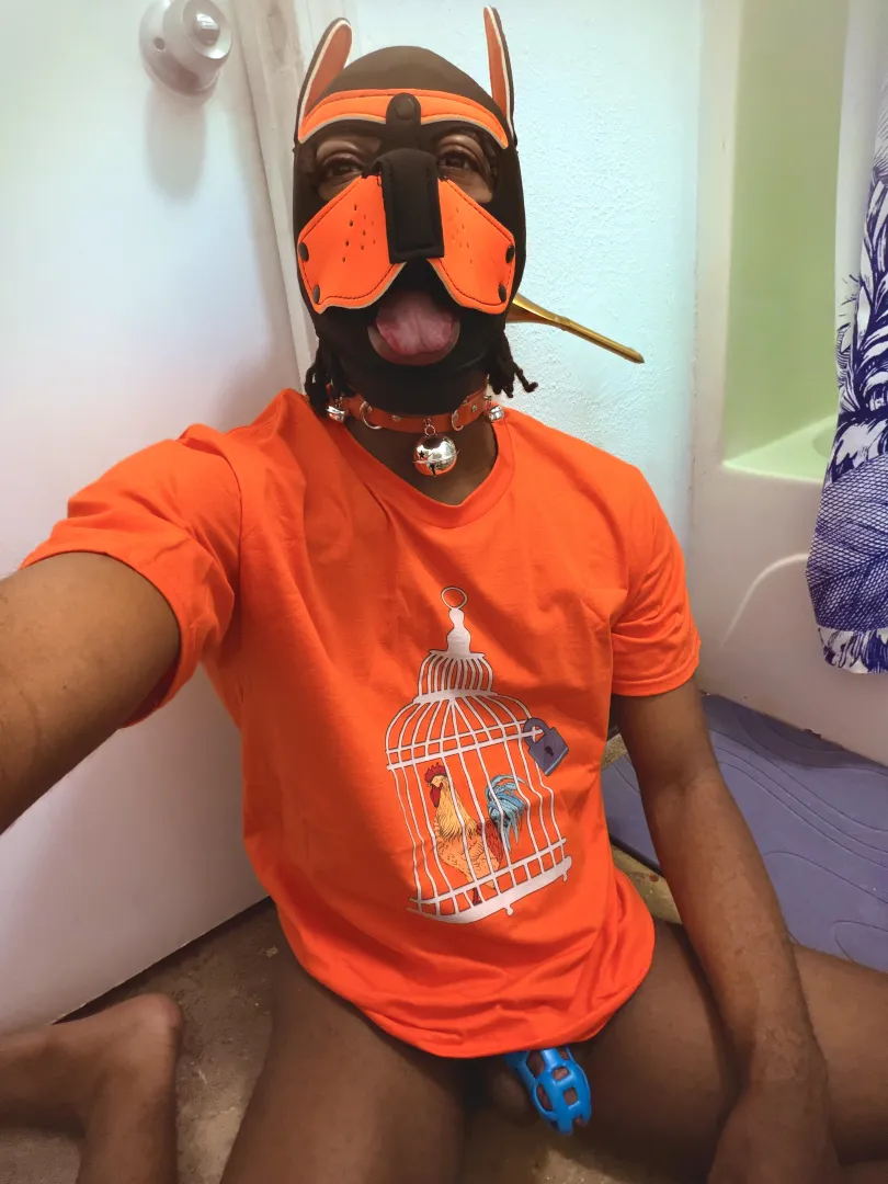  He keeps calling me his “Bathroom Pup “